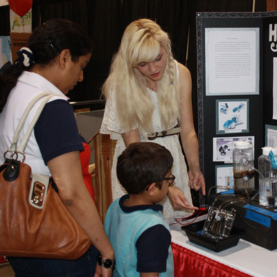 安全无毒可信的ddos测压网站