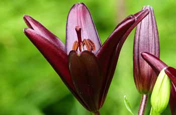 智能办公必备的免费ddos在线攻击测试网站