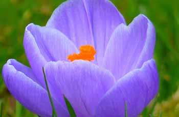 网络ddos监测分析工具