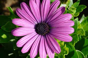 免费ddos在线攻击