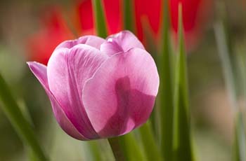 ddos攻击测试工具